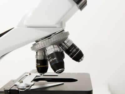 microscope