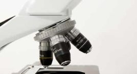 microscope microscope